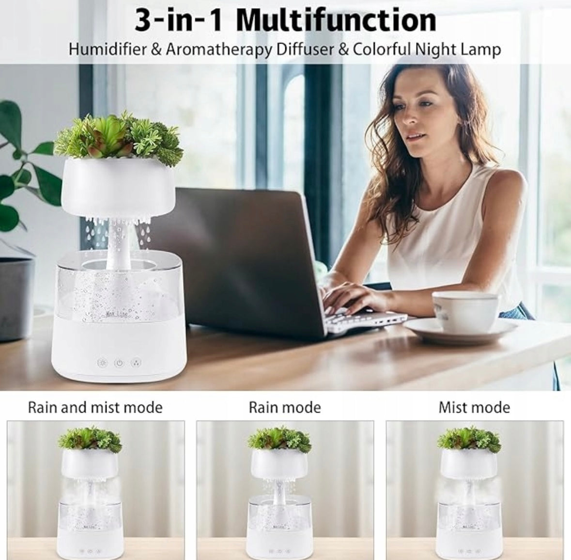 RainCloud Humidifier