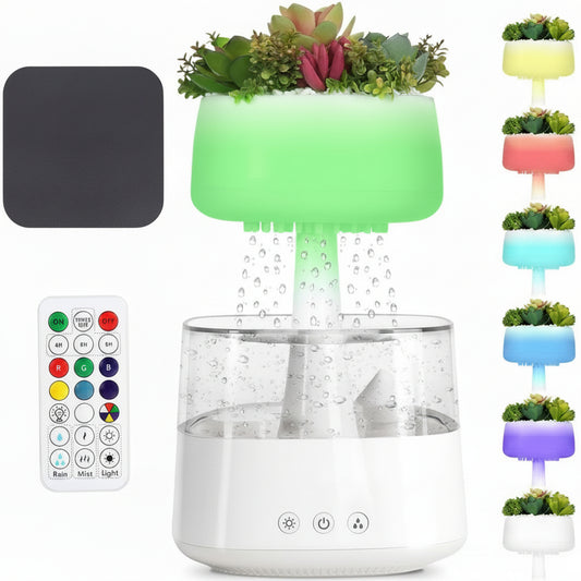 RainCloud Humidifier™