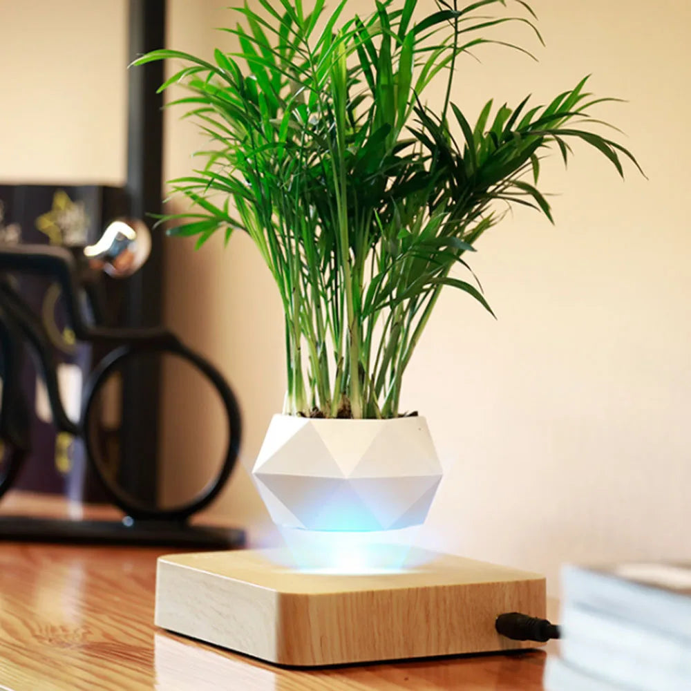 MagnoBonsai Magnetic Plant Vase