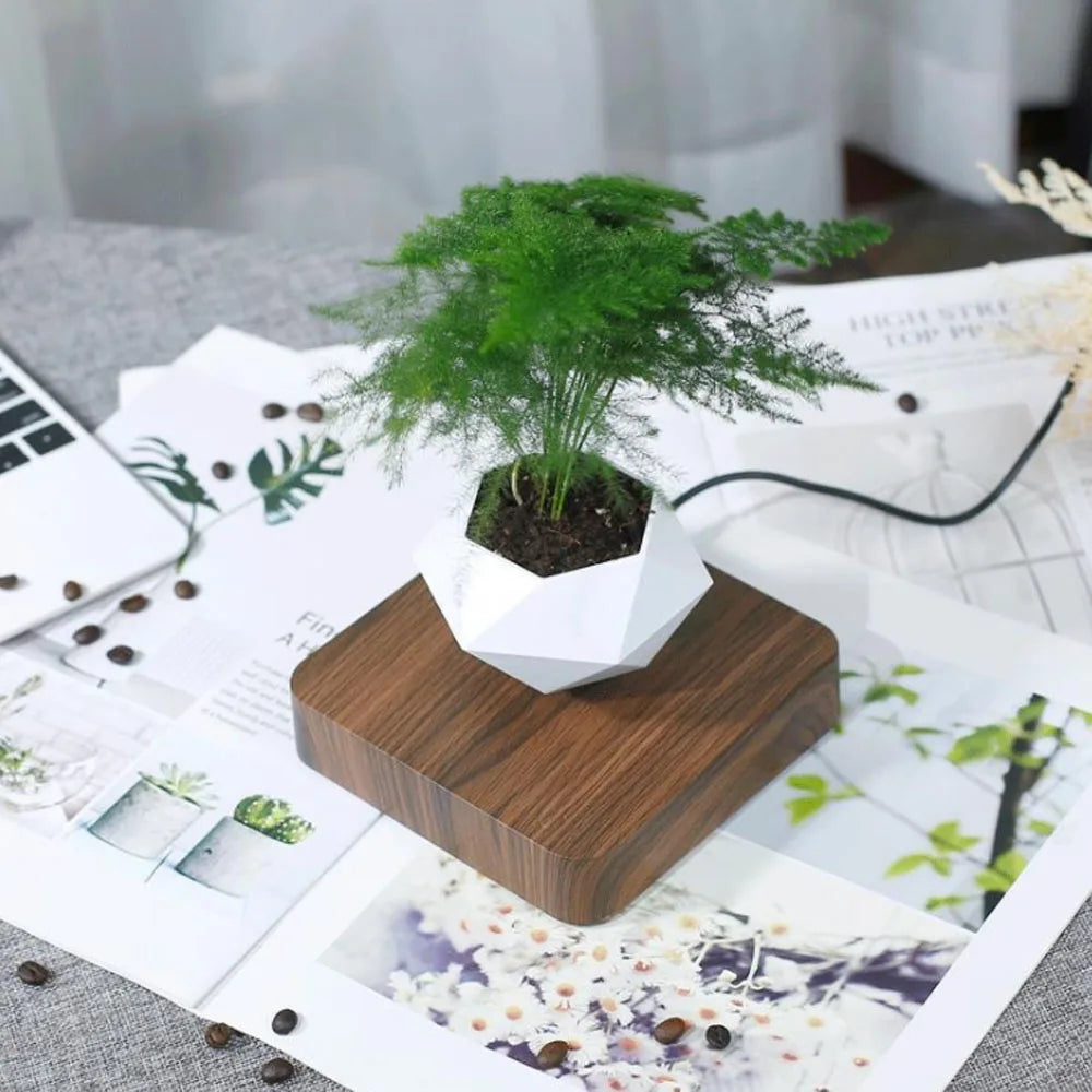 MagnoBonsai Magnetic Plant Vase