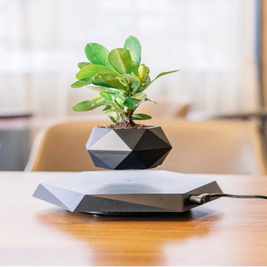 MagnoBonsai Magnetic Plant Vase