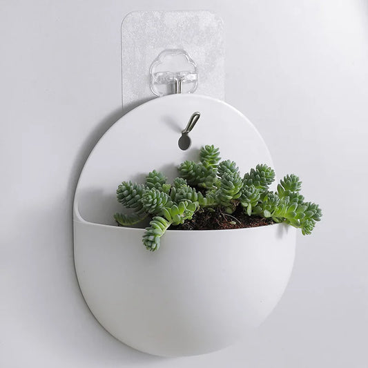 HangingBloom Wall Vase