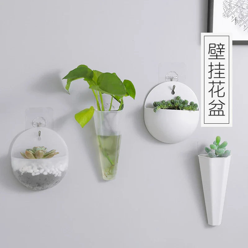HangingBloom Wall Vase