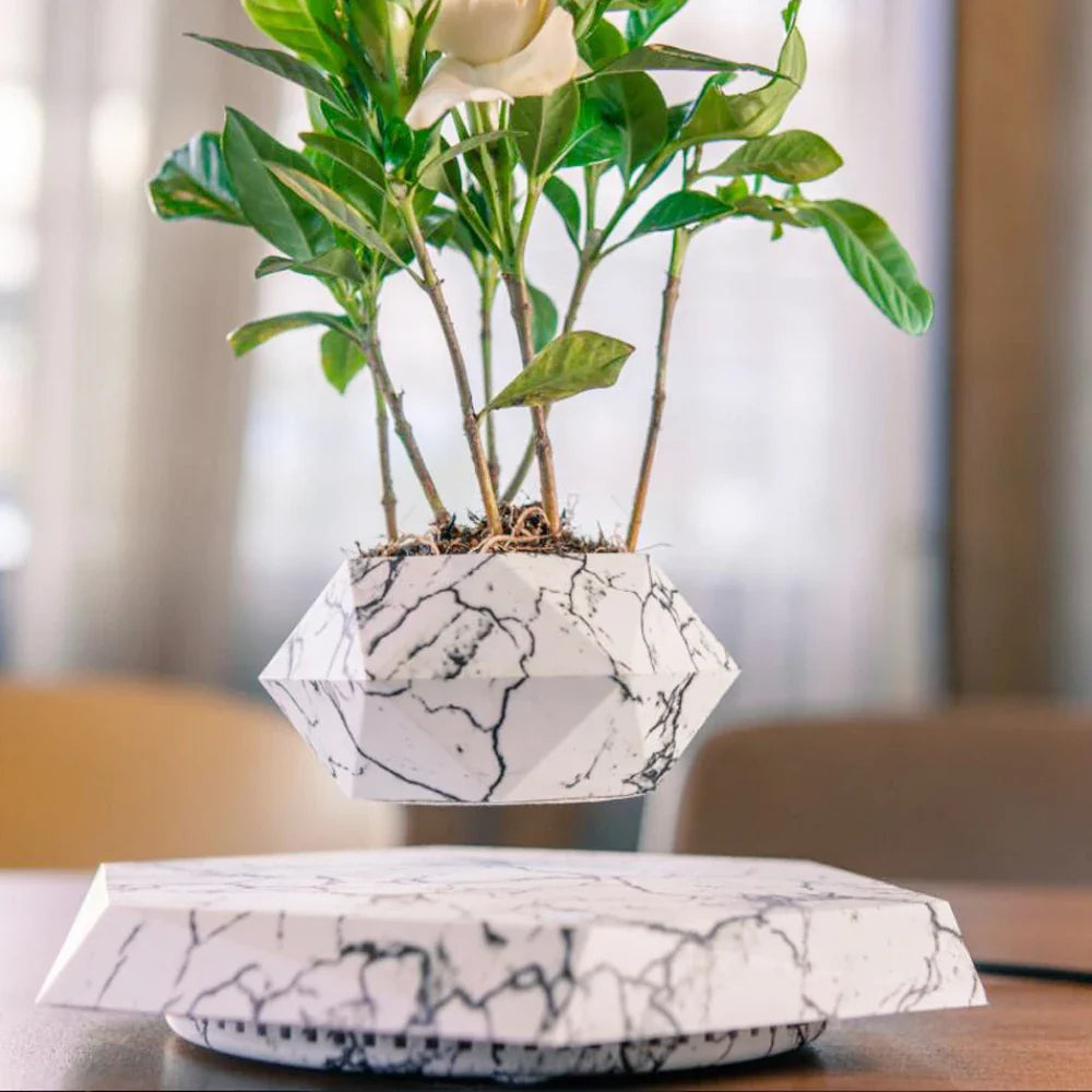 MagnoBonsai Magnetic Plant Vase